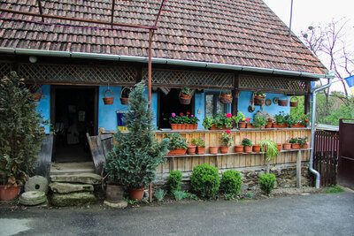Casa-Muzeu Ligia Bodea, Iaz, Sălaj