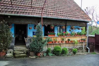 Casa-Muzeu Ligia Bodea, Iaz, Sălaj