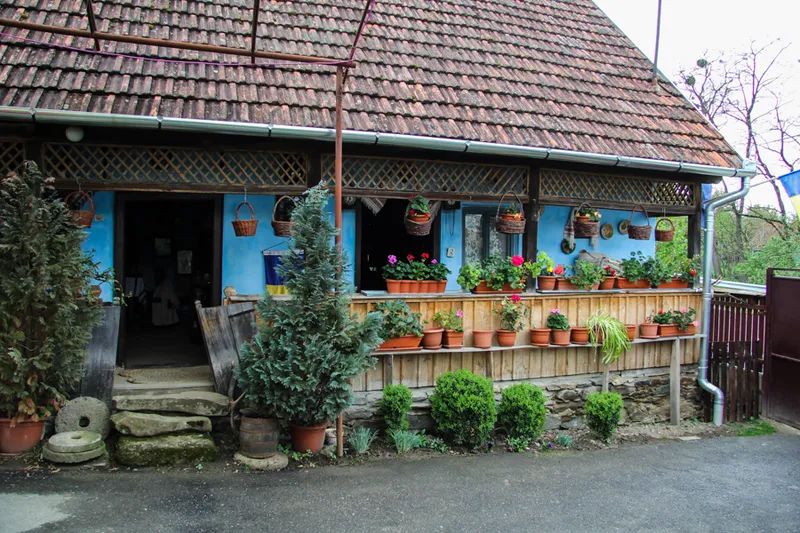 Casa-Muzeu Ligia Bodea, Iaz, Sălaj