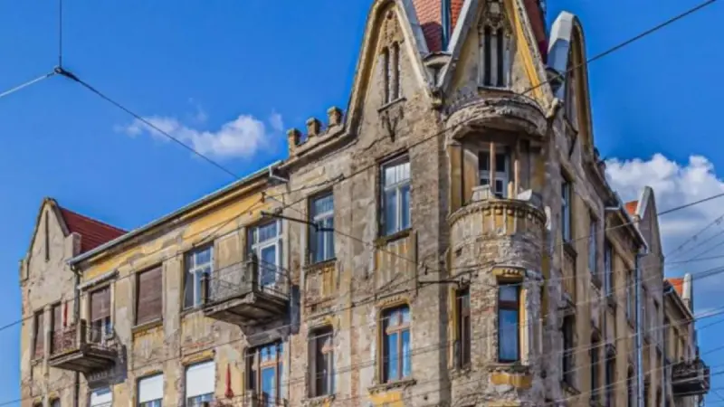 Palatul Antal Nägele, Palatul farmaciei Aladár Kovács din Timișoara, Timiș