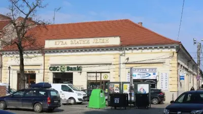 Hanul Cerbul de Aur, Grand Kafe, din Timișoara, Timiș