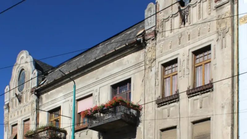 Palatul Miksa Róna din Timișoara, Timiș