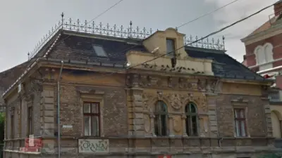 Casa Árpád Naschitz din Timișoara, Timiș