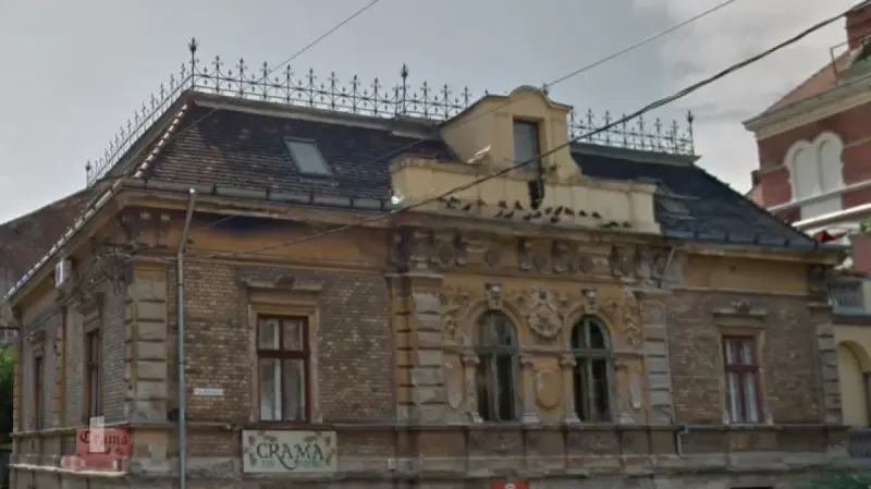 Casa Árpád Naschitz din Timișoara, Timiș