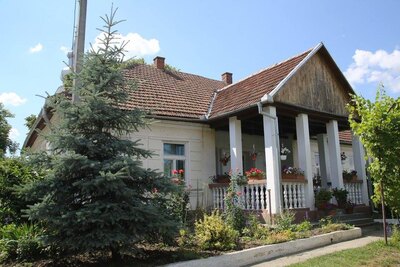 Casa Memorială Aloisie Tăutu, Valea Vinului, Satu Mare