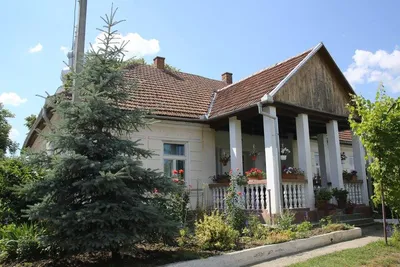 Casa Memorială Aloisie Tăutu, Valea Vinului, Satu Mare