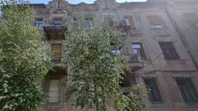 Palatul Christian Mátyás, Casa cu câini, din Timișoara, str. Timotei Cipariu