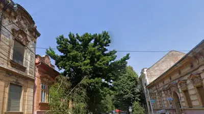 Case vechi din Timișoara, str. Timotei Cipariu