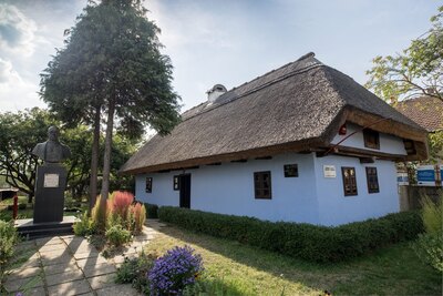 Casa Memorială Vasile Lucaciu, Apa, Satu Mare