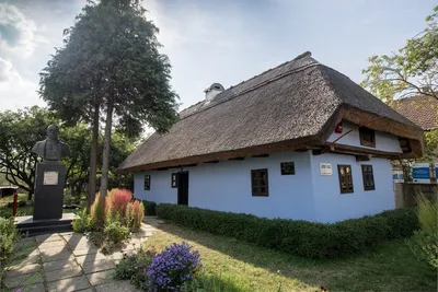 Casa Memorială Vasile Lucaciu, Apa, Satu Mare