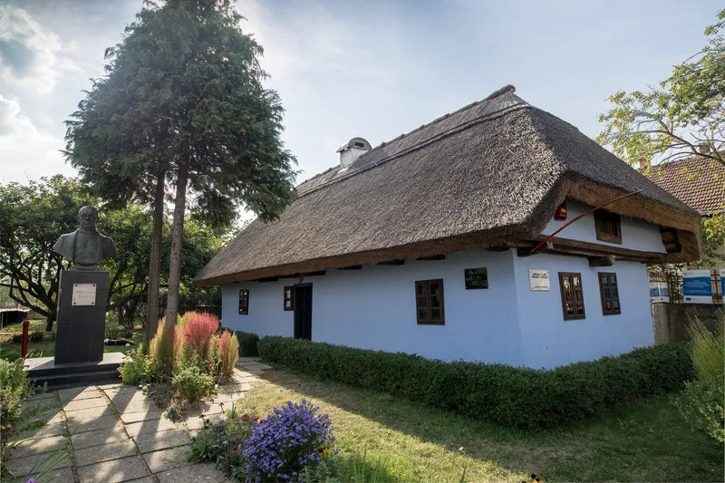 Casa Memorială Vasile Lucaciu, Apa, Satu Mare