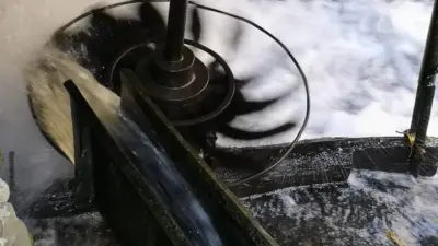 Ansamblul de mori de apa din Păltiniș, Caraș Severin