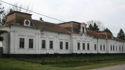 Conacul Juhasz din Zăgujeni, Caraș Severin