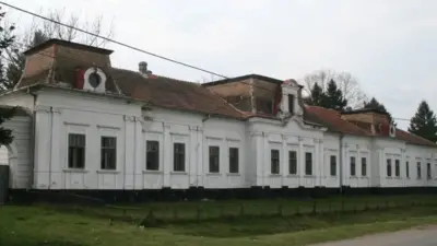 Conacul Juhasz din Zăgujeni, Caraș Severin