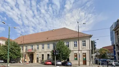 Casa Contelui de Mercy din Timișoara, Timiș