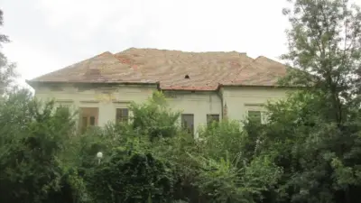 Conacul Ambrozi din Remetea Mare, Timiș