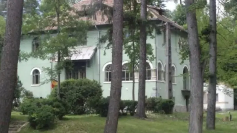 Conacul Oromolu din Vlăduceni Pietrari, Vâlcea
