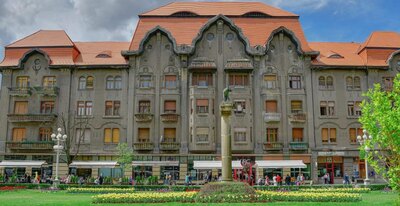 Palatul Dauerbach, Timișoara, Timiș