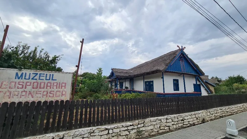 Gospodăria țărănească de la Enisala, Tulcea