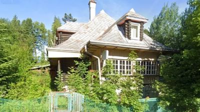 Casa de lemn Aurora Negrea din Vatra Dornei, Suceava