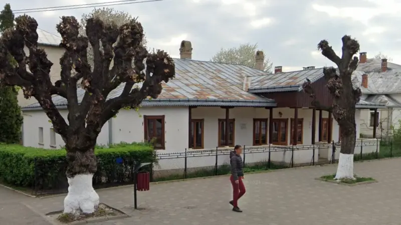Casa Gane-Gorovei din Fălticeni, Suceava
