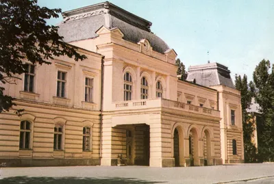 Muzeul Vasile Pârvan, Bârlad, Vaslui
