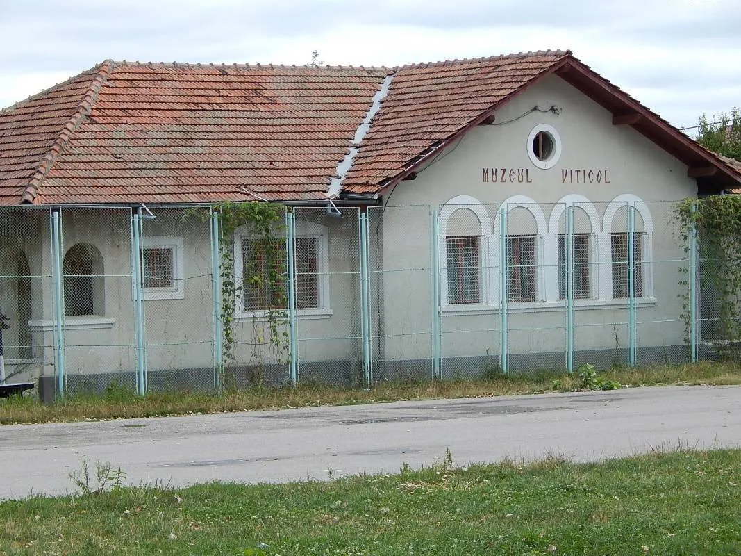 Muzeul Viticol Huși, Vaslui
