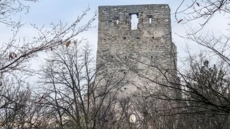 Ruinele Cetății Almașului, Sălaj