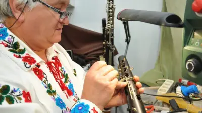 Meșterul care dă glas lemnului, Nicolae Sava din Viișoara, Bistrița-Năsăud