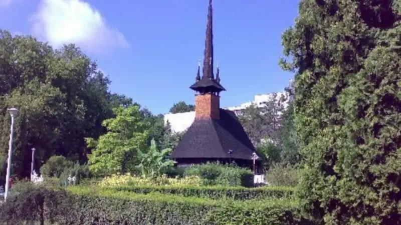 Metocul Băile Felix, Bihor