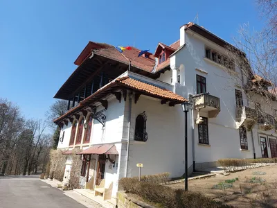 Conacul si Domeniul Brătienilor de la Florica, Argeș