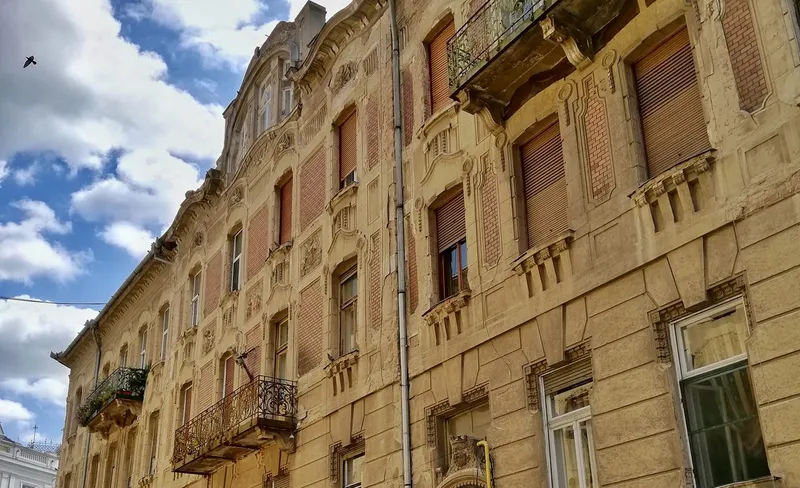 Palatul Suciu Maria, Arad