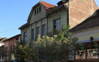 Palatul Tribunei, Arad