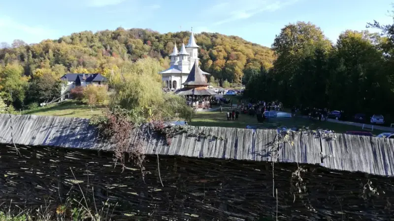 Mănăstirea Dealu Mare, Maramureș