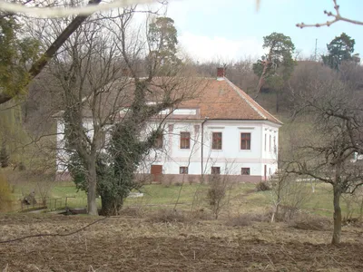 Conacul Andrașiu, Murani, Timis