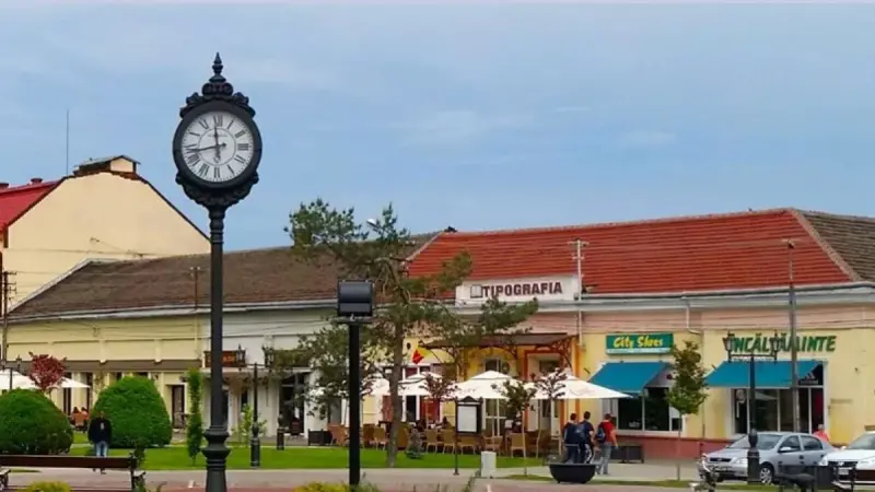 Tipografia din Carei, Satu Mare