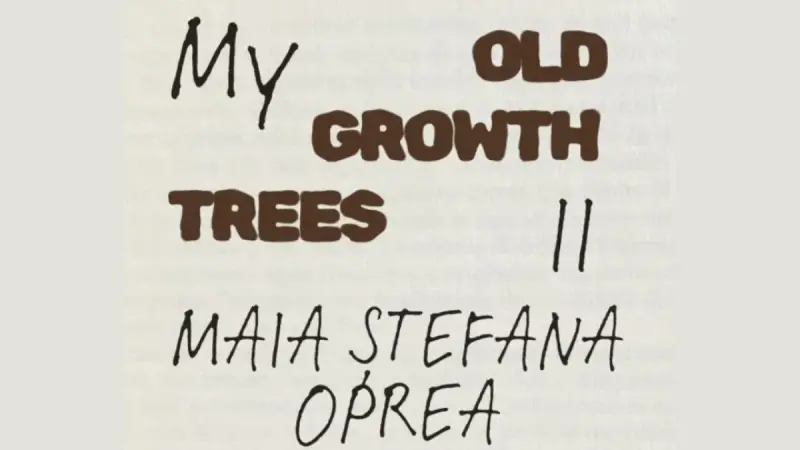 My Old Growth Trees II – Maia Ștefana Oprea, la ETAJ artist-run space, București