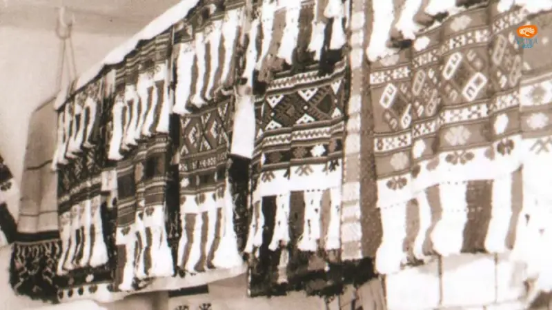 Cânepa în lumea satului românesc: de la plantă esențială la civilizație textilă