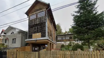 Casa-muzeu Gunka și Spiru Vergulescu, Slatina