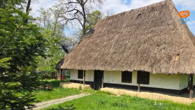 Casă tradițională din Dumbrăveni, Suceava (sfârșitul secolului al XIX-lea)