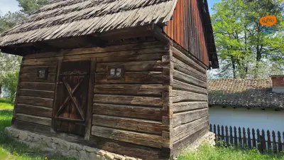 Fierărie tradițională din Botuș, Suceava (secolul al XX-lea)