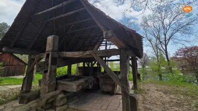 Teasc pentru struguri din Meșendorf, Brașov (1864)