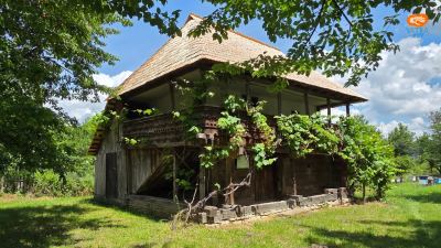Casa Toloiu Elisabeta din Olteanca, Glăvile, Vâlcea (prima jumătate a secolului al XIX-lea)