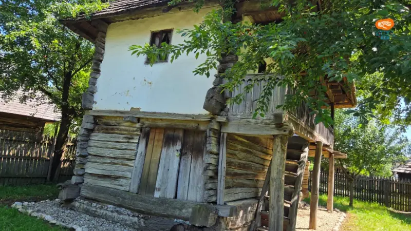 Gospodărie viticolă din Glăvile, Drăgășani, Vâlcea