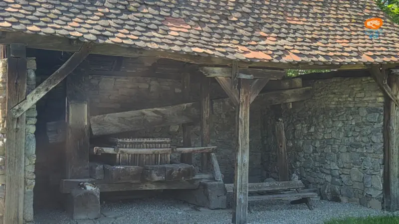 Teasc cu șop din Calbor, Beclean, Brașov (1884)