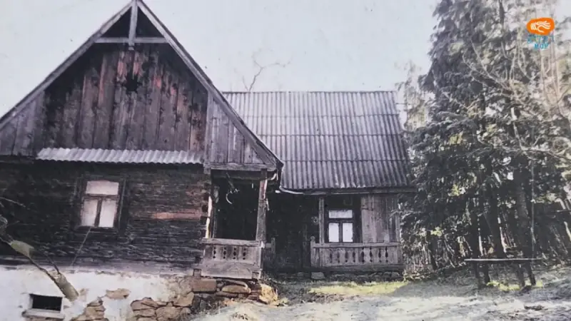 Anexele gospodăriei năsăudene. Cămara, pivnița, șura și grajdul
