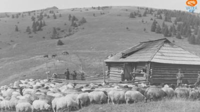 Stâna tradițională și organizarea vieții la munte. Păstoritul și arhitectura sezonieră a Munților Branului