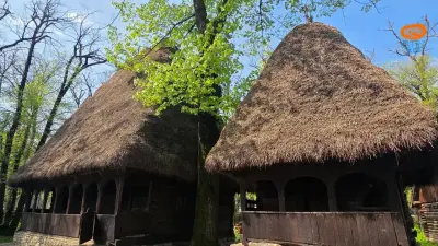 Casele tradiționale și meșteșugul lemnului pe Valea Arieșului