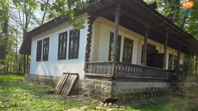 Casa țărănească din Vrancea. Evoluție și particularități arhitecturale