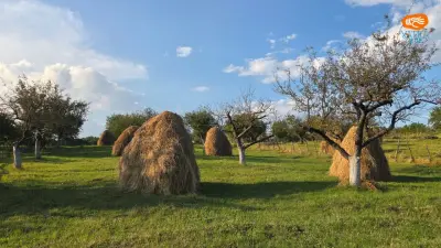 Stoenești, Argeș. Așezarea musceleană de pe valea Dâmboviței